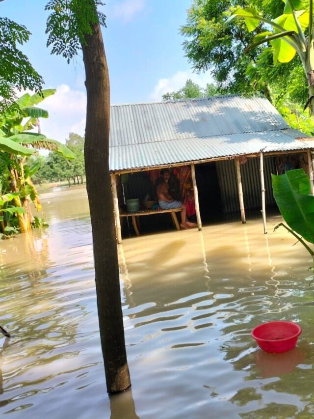 Havey Rainfall: भारत के 24 राज्यों में भारी बारिश का अलर्ट